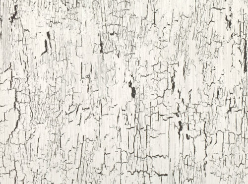 Antica  Whitewash W907-01
